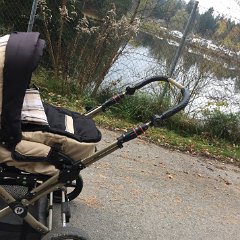 IMG 113